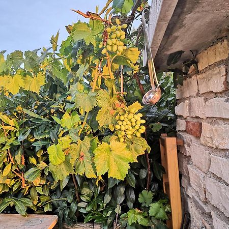 Casa Romantica Umag Eksteriør bilde