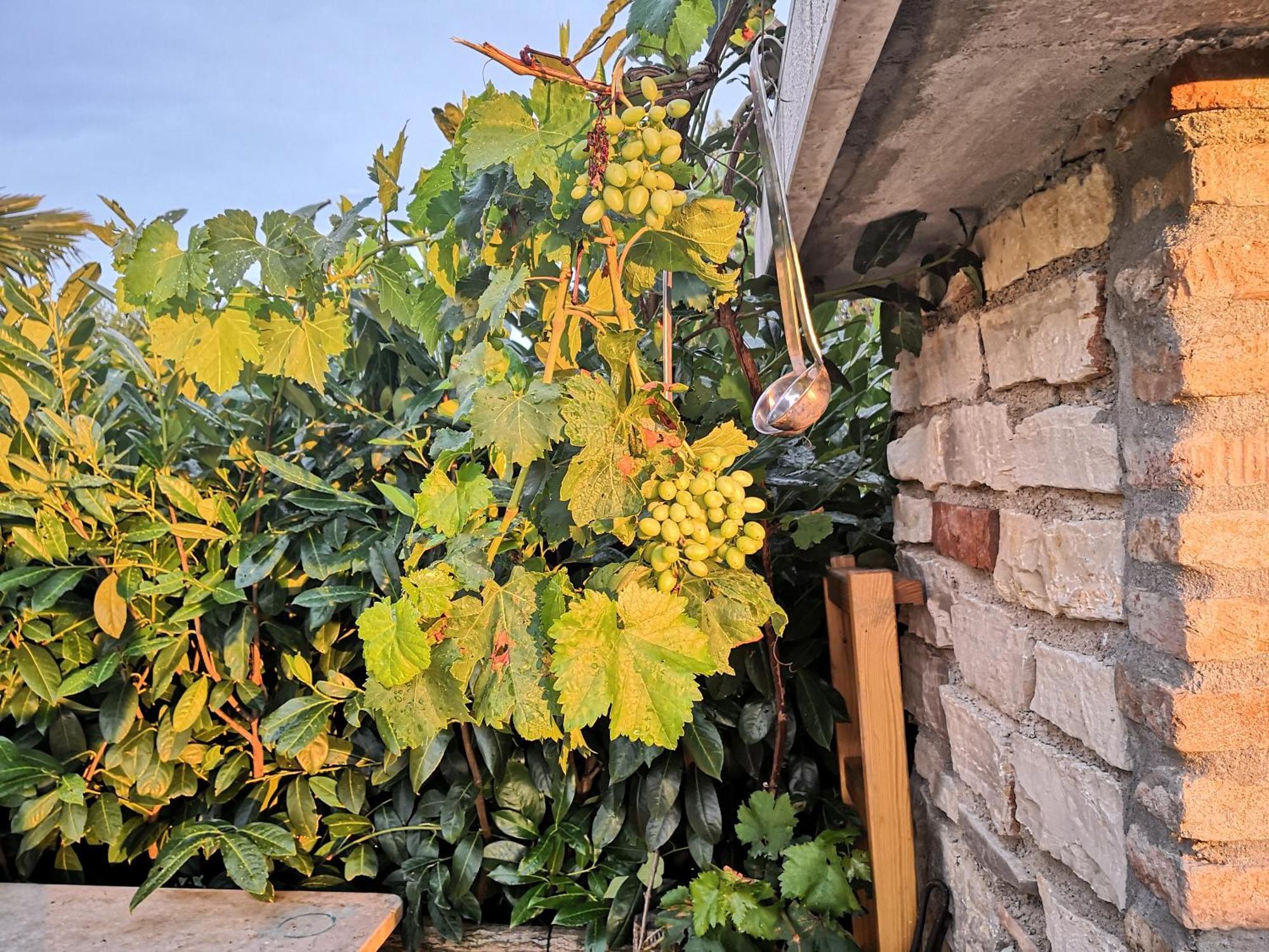 Casa Romantica Umag Eksteriør bilde